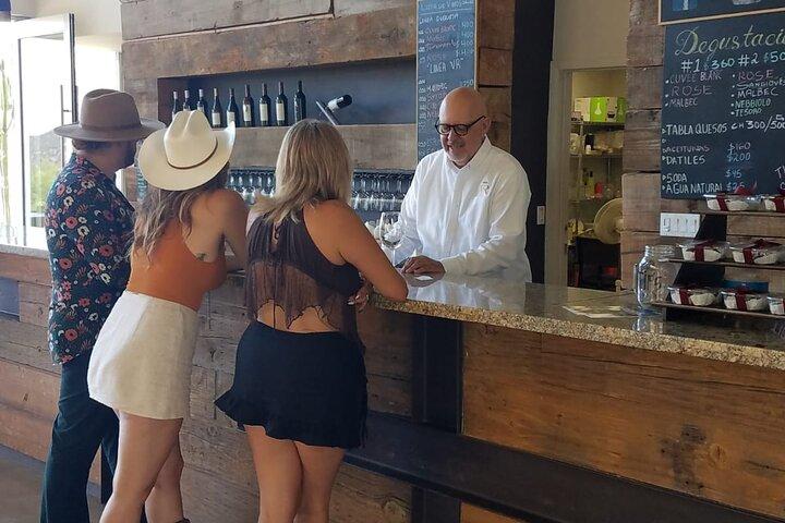 Private Tour in Valle De Guadalupe