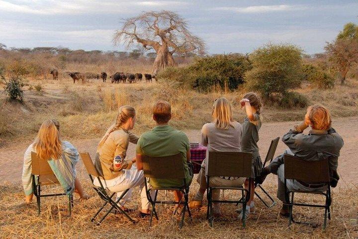 6-Day Fly-In Serengeti Great Migration Safari Tanzania