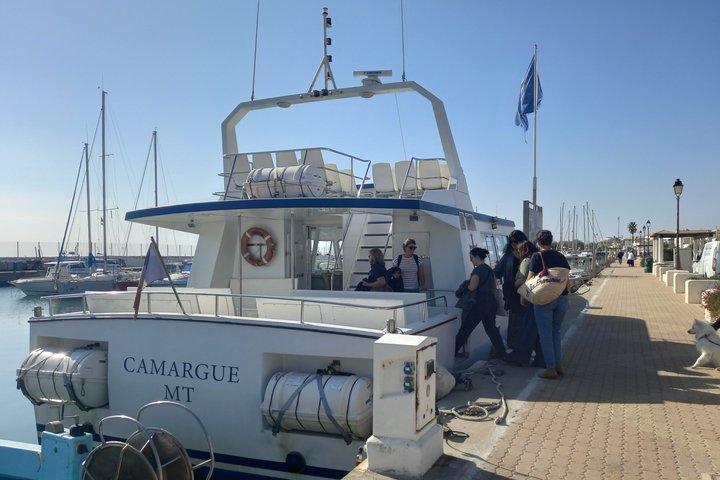 Camargue Full Day Tour from Avignon