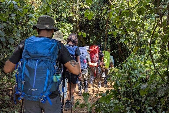 Kilimanjaro day hike tour marangu route