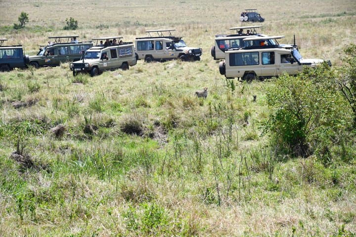 3 Days Masai Mara Budget Safari
