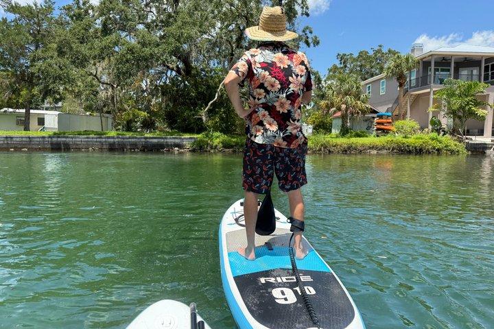 Unguided Paddleboard Adventure on the Weeki Wachee Springs
