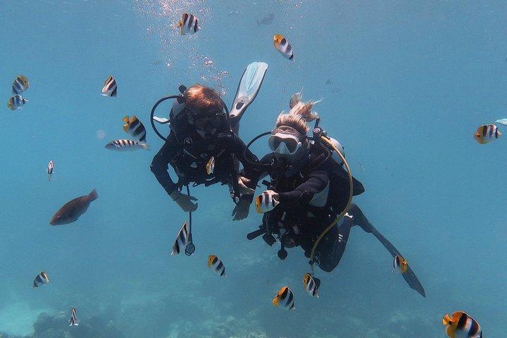 Rangiroa Discover Scuba Diving in French Polynesia