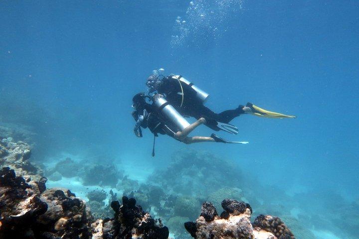 Rangiroa Discover Scuba Diving in French Polynesia