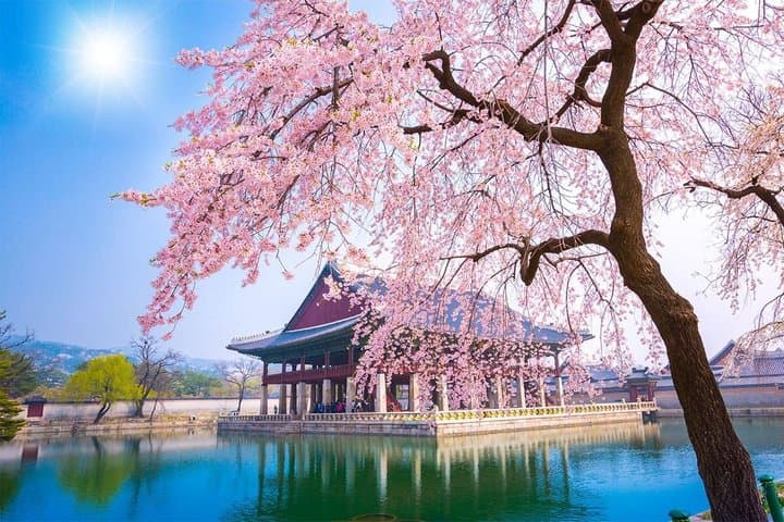 Seoul Private Tour: Half Morning, Evening or Full-Day Custom