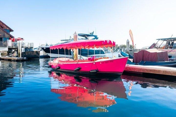 Pink Electric Boat Rental in Newport Beach