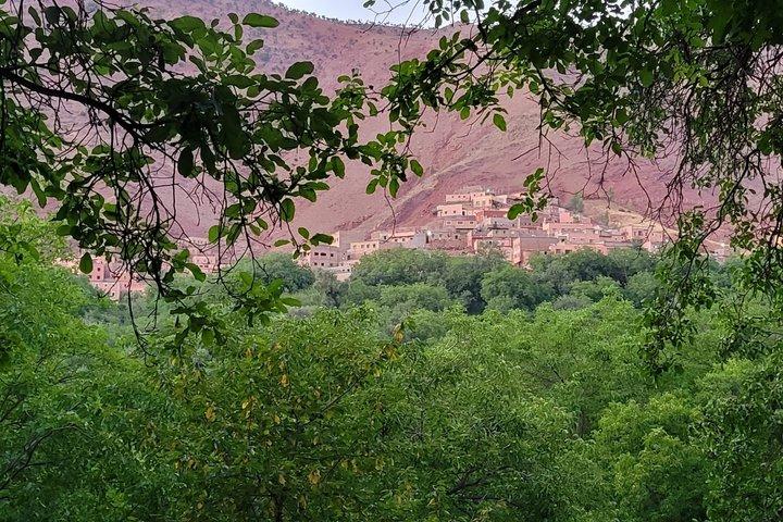 Marrakech: Atlas mountains, Imlil valleys, waterfalls and lunch