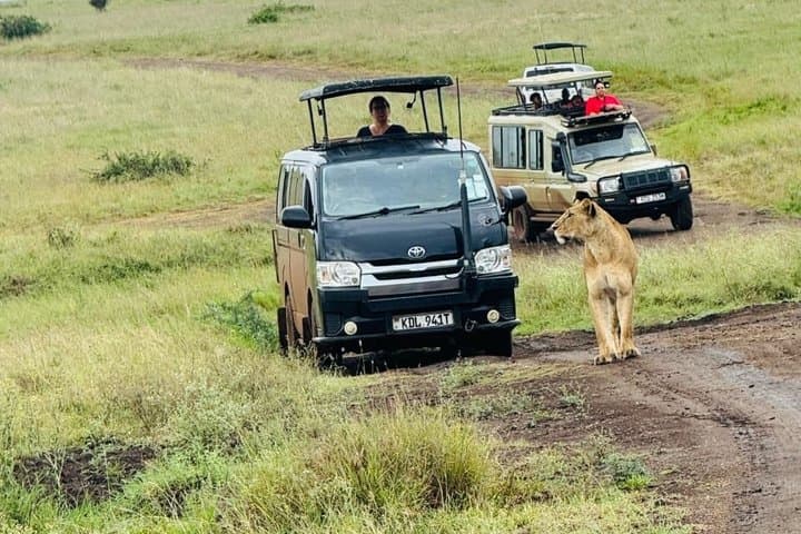 Amboseli Daytrip from Nairobi