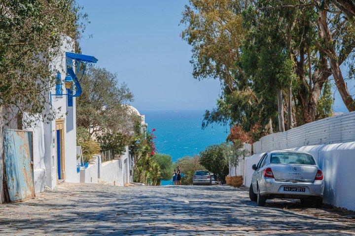 Private tour: Medina,Carthage ,Sidi Bou Said, Bardo Museum+lunch
