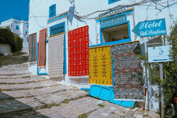 Private tour: Medina,Carthage ,Sidi Bou Said, Bardo Museum+lunch