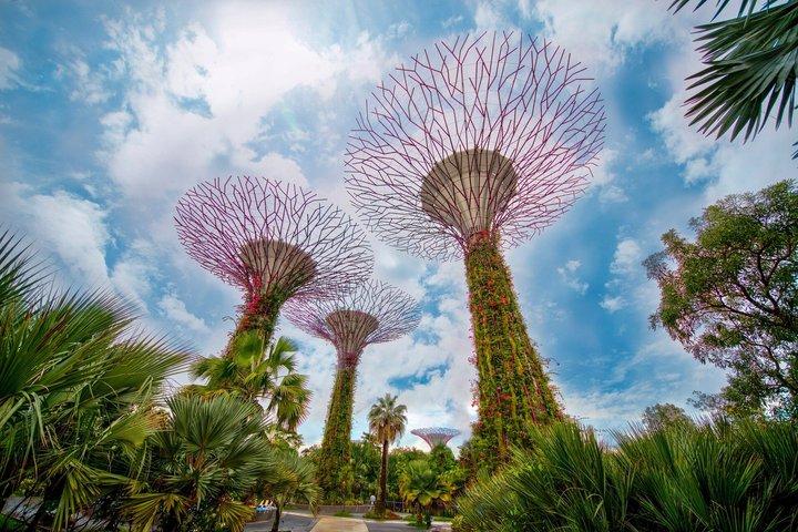 Gardens by the Bay Entry Ticket
