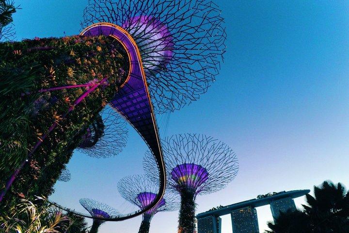 Gardens by the Bay Entry Ticket