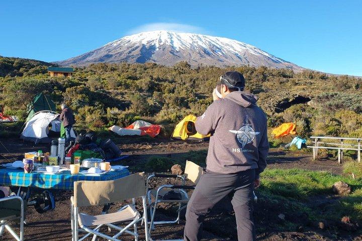 Mount Kilimanjaro Climbing in Tanzania Full-Day Trip