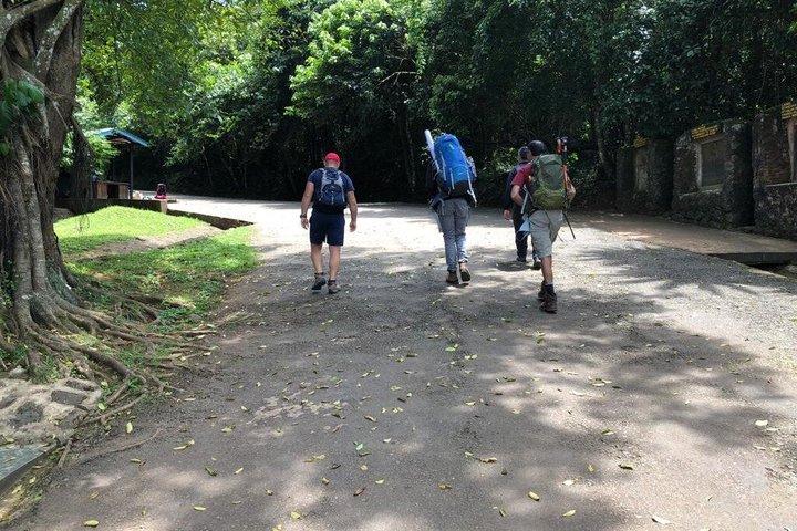 Mount Kilimanjaro Climbing in Tanzania Full-Day Trip