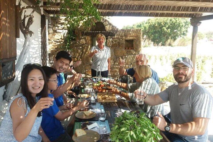 Traditional Lunch or Dinner at Mykonian Farm