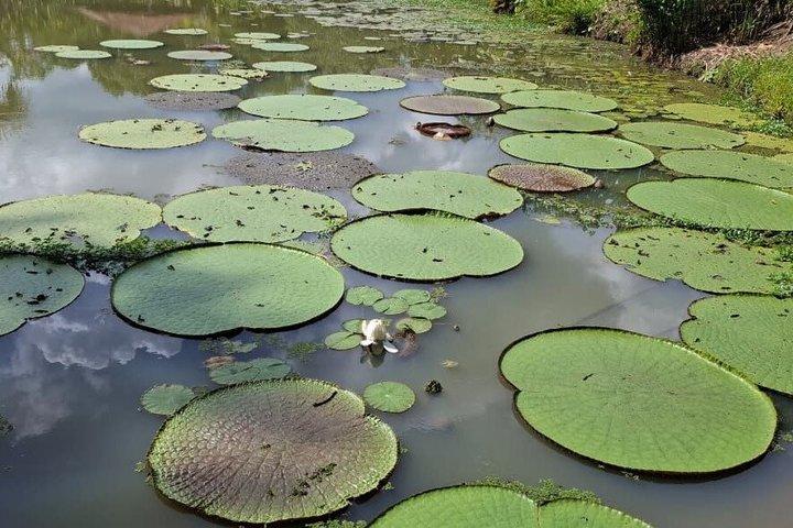 Native Aquatic Species, Jungle Hike & Animal Rescue Center -All tickets included