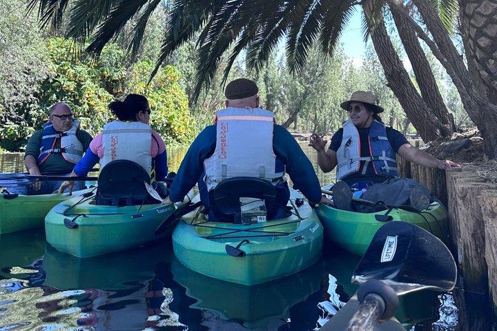 Xochimilco Kayak Tour, English Guided Nature & Culture Experience