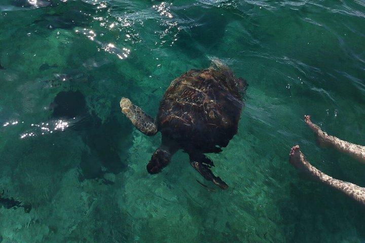Snorkeling and fishing in Puerto Morelos