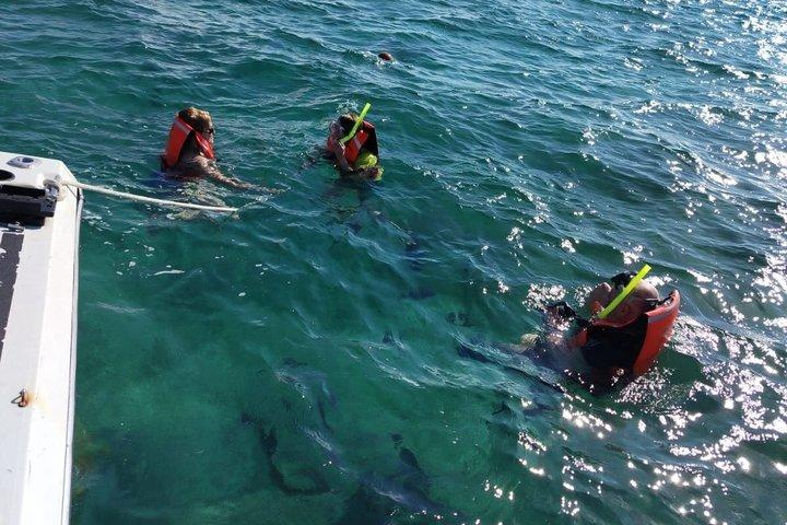 Snorkeling and fishing in Puerto Morelos