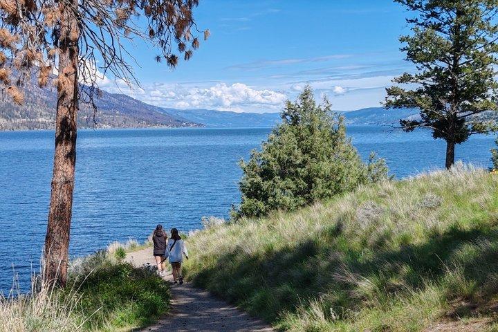 Kelowna: Guided Hike on Knox Mountain and Okanagan Lake Views