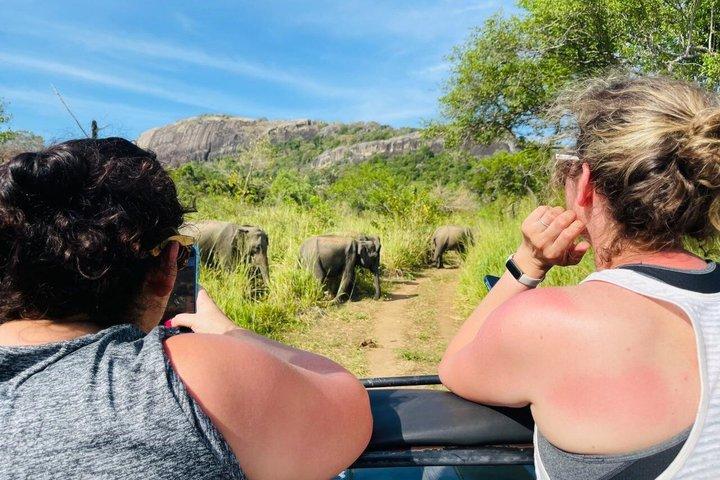 Private Polonnaruwa Ruins & safari Tour from Sigiriya/Dambulla
