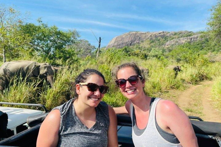 Private Polonnaruwa Ruins & safari Tour from Sigiriya/Dambulla