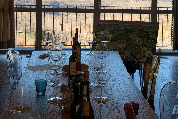 Discover Langhe wines with private tour and expert sommelier