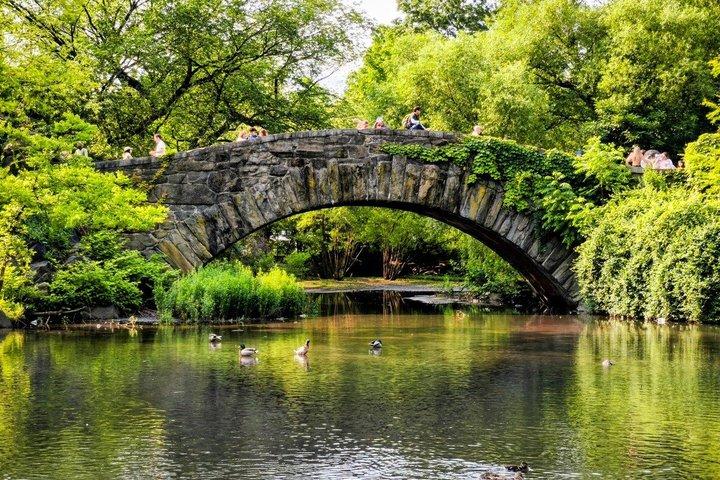New York City Tour in One Day: Central Park, 911 and Ferry Statue