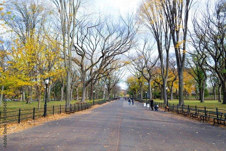 New York City Tour in One Day: Central Park, 911 and Ferry Statue
