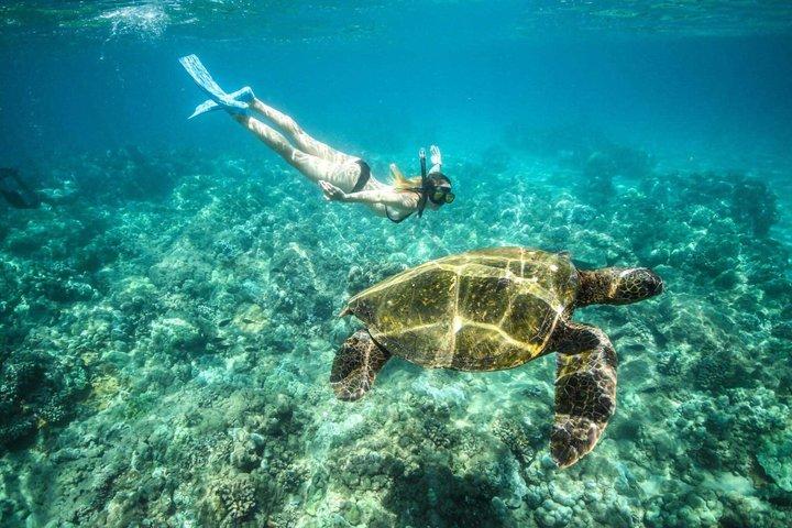 Zakynthos Glass Bottom Boat Tour to Keri Caves and Turtle Island