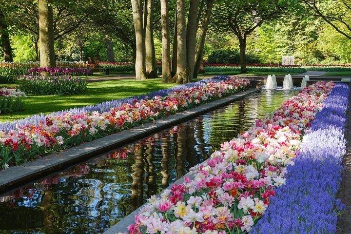 Private Excursion to Keukenhof gardens
