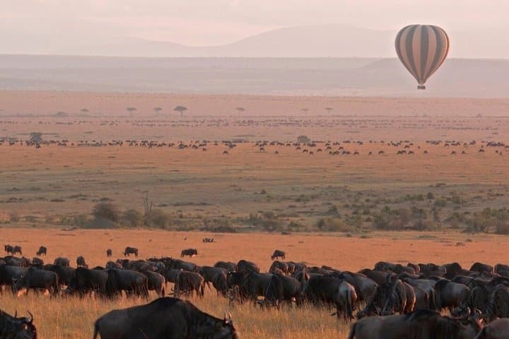 4 Days 3 Nights Maasai Mara and Lake Nakuru Group Safari