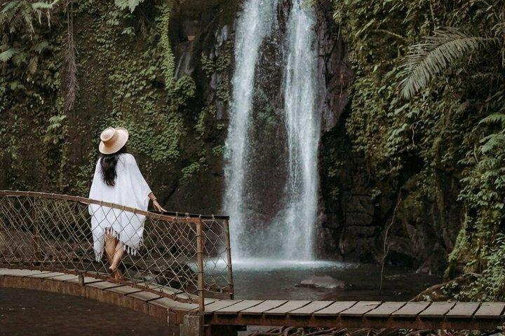 Ubud Bali Half Day Tour