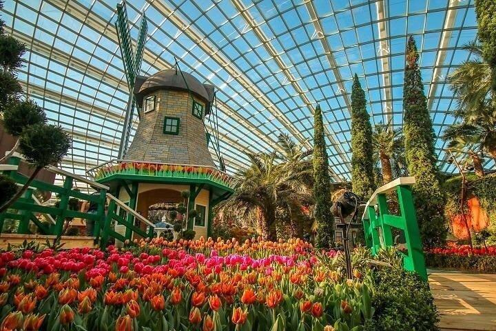 Singapore Gardens by the Bay Admission Tickets with options