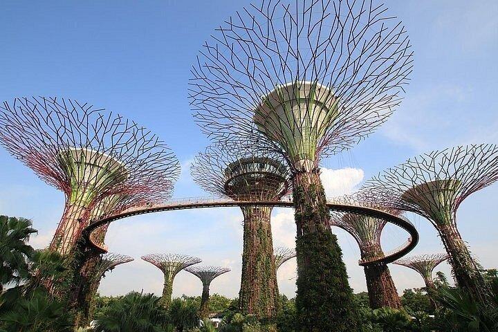 Singapore Gardens by the Bay Admission Tickets with options