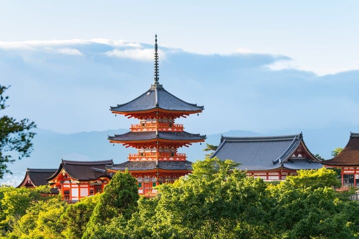 Best of Kyoto and Nara Highlights Day Tour from Osaka (7~9 spots)