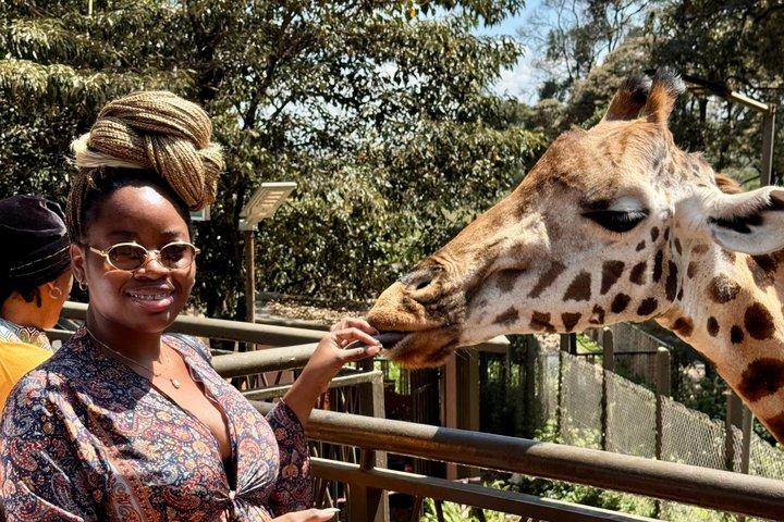 Nairobi City Day Tour