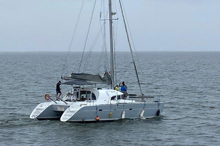 Dolphin & Seal Boat Cruise