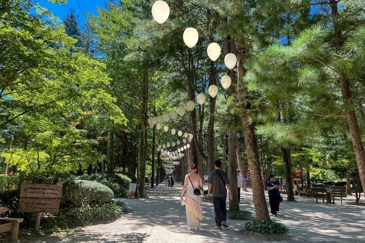 Seoul to/from Nami Island: Round trip Shuttle Bus Service