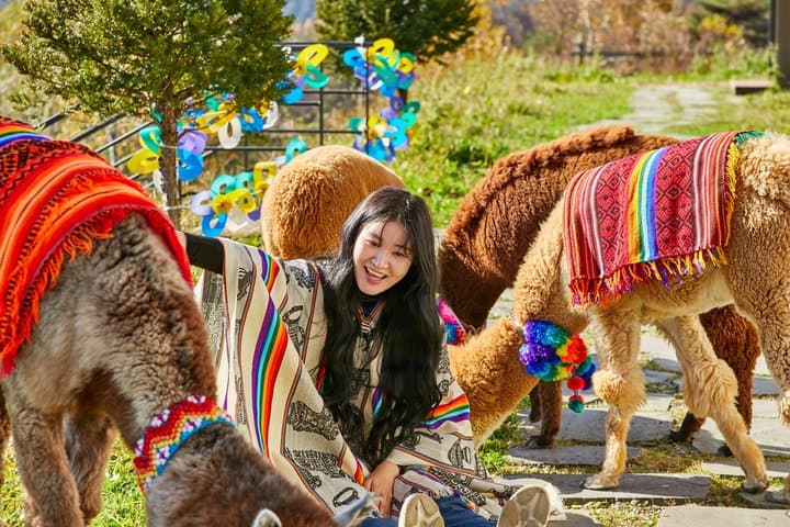Alpaca World, Nami Island with optional Railbike Tour from Seoul