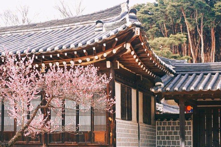 Jeonju Hanok Village and Plum Blossom Festival Shared Tour