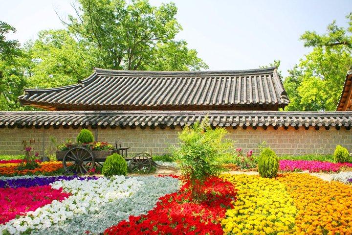 Jeonju Hanok Village and Plum Blossom Festival Shared Tour