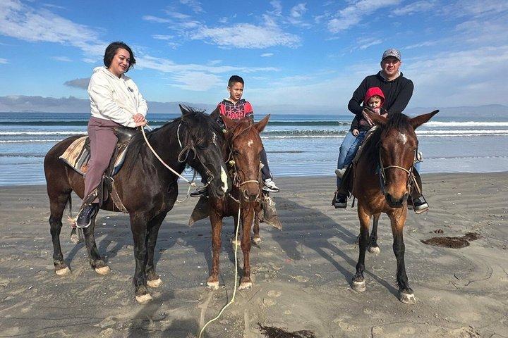 Private Ensenada Excursion: Pick Adventure + Local Experience