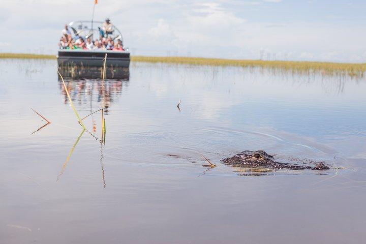 Everglades Airboat, Wildlife Exhibit, & Roundtrip Bus from Miami