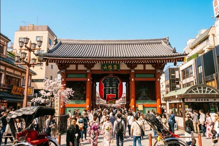 Tokyo Private Asakusa Walking Tour: Senso-ji & Photo Spots