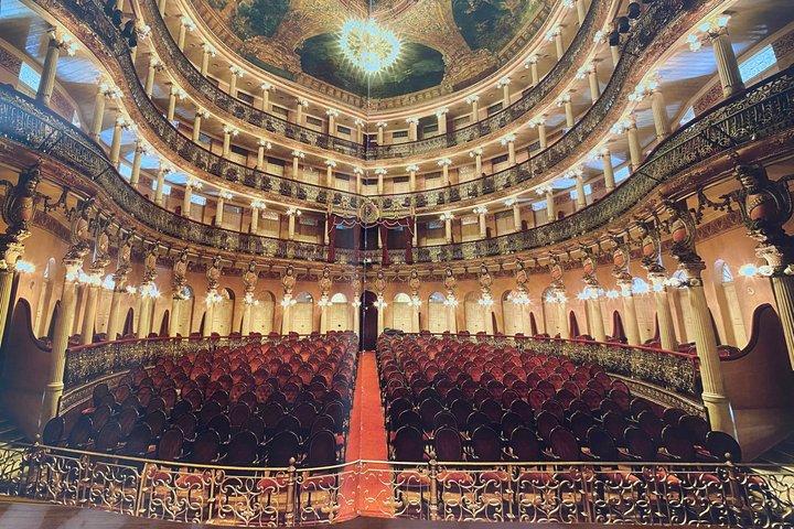 Private Tour of Amazonas Science Forest and Theatre in Manaus