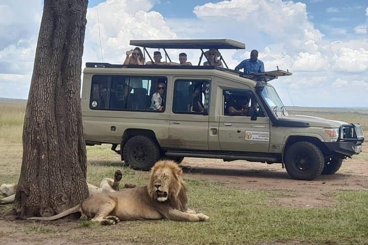 3Days 2nights Masai Mara group joining safari