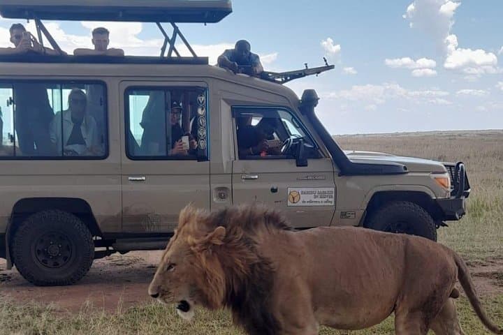 Half Day Nairobi National Park Safari Tour