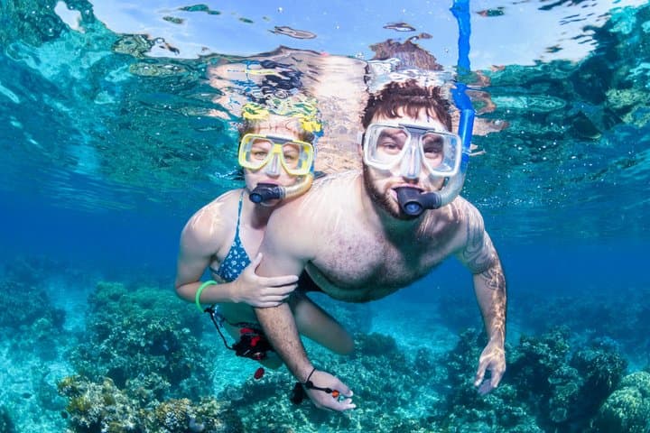 Half-Day Outer Reef Snorkelling Tour