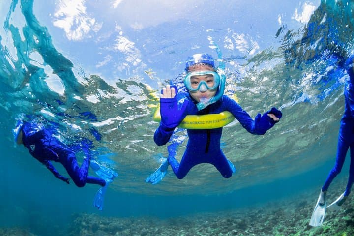 Half-Day Outer Reef Snorkelling Tour